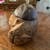 HAND CARVED HAWAII COCONUT, BASKET & TRAYS, PICTURE CLOCK, XOXO TIN 2 thumbnail