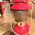 COLEMAN 200A195 Single Mantle Red Lantern & Gallon of fuel 16 thumbnail