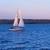 1975 Newport 30-2 Sailboat sleeps 6 + heavy duty trailer 17 thumbnail