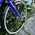 RALEIGH CADENT HYBRID BIKE 700cc Wheels 6 thumbnail