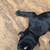 Pitbull puppies 2 thumbnail
