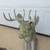 SOLID CONCRETE DEER/BUCK FOR LANDSCAPE DECOR 5 thumbnail