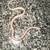 Red Factor Snow Corn Snake (F) 1 thumbnail