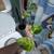 Many cheap plants 4 thumbnail