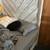 Free bedroom set and bookcases. Very nice. 1 thumbnail
