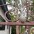 Vintage Wrought Iron French Bakers Rack (4 Tier) 3 thumbnail
