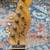 Fender American Deluxe Telecaster 2 thumbnail
