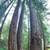 Modern hillside upper duplex, shared washer/dryer, walk to town 21 thumbnail