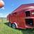 2008 2 horse trailer 4 thumbnail