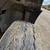 1994 Mack CH613 Dump Truck 12 thumbnail