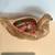 Decorative Duck 2 thumbnail