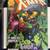 1996 Marvel Comics X-Men #58 NM 1 thumbnail