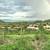 Furnished 2 Bedroom 2 Bath single level Casita with community pool 22 thumbnail