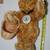 9 Vintage Steiff Bears 'Made in Germany' Club Collectables w/Tags 18 thumbnail