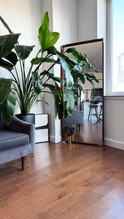 $4,150 / 1br - 700ft2 - 1 bedroom available (Brooklyn downtown)64033632771970121