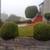 ARNULFO CANO Gardening Services (Best prices in the area) 9 thumbnail