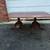 Vintage chippendale style rosewood extension dining table 21 thumbnail