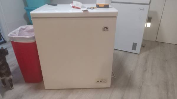 Free Igloo freezer 1
