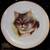 Main Street Studio Cat Plate Set 2 thumbnail