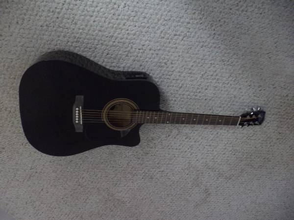 Acoustic Electric Ebony Savannah 1