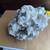 X-Large Natural Brain White Coral over 25Lb 7 thumbnail