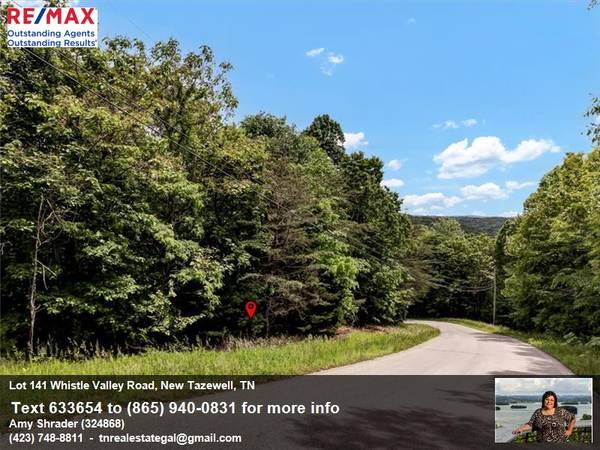 $20,000 Lote arbolado de 2.4 acres con paisaje en Lone Mountain Shores (New Tazewell)63815667751041120