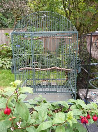 Dome top bird cage (Bellingam)636134996332831227