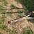 Ground Driven Manure Spreader 7 thumbnail