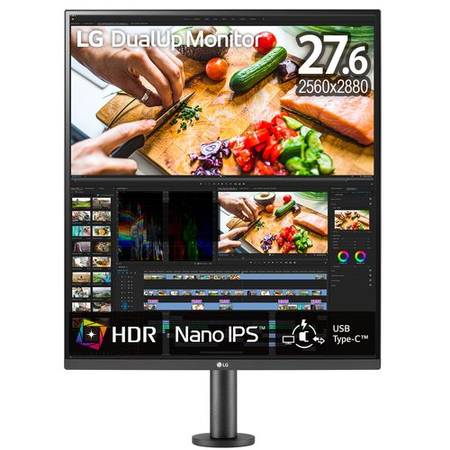 lg dualup monitor 1