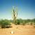 40 acres located inside Tohono O'odham Indian Reservation 8 thumbnail