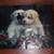 "Stay Awake Until Santa Comes" Cute Puppy Poster 1994 Troll Associates 6 thumbnail