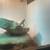 Rhino Iguana 4 thumbnail