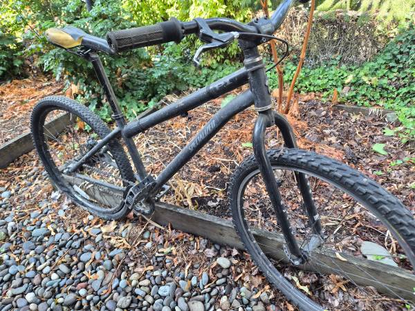 old specialized p1dirt  jumper 1
