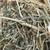 Alfalfa-Grass Mix Hay (2025 2nd. Cut Small Square Bales) 5 thumbnail