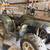 2001 Honda 4-Wheeler 2 thumbnail