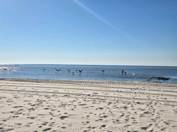 $1,500 / 1br - RV Hook-up & Luxury Garage Condo!64152179093635120