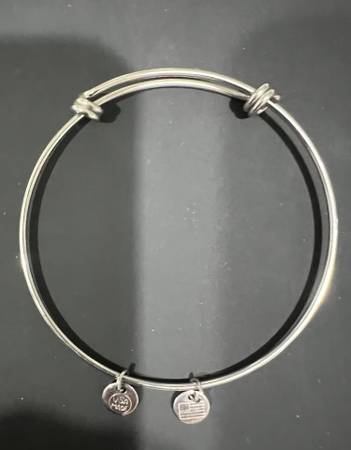 Alex + Ani Expandable Wire Braclet,W/2 Bangels,American Flag & Made In 1