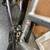 Schwinn Bicycles 21 thumbnail