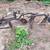 Vintage Plow 1 thumbnail