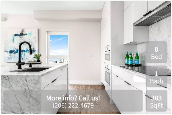 Studio with great view of Downtown, Gorgeous Roof Top! 1