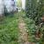 Fall cleanups, landscaping, paver patios, more! 11 thumbnail