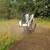 Storm clean up, Land Management 4 thumbnail