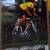 Schwinn Paramount Poster (px3) 2 thumbnail