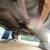 1994 ford ranger 19 thumbnail