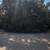 Land FOR SALE ARKANSAS TROPHY LOT | PRIVATE CORNER LOT Owner Finance 3 thumbnail