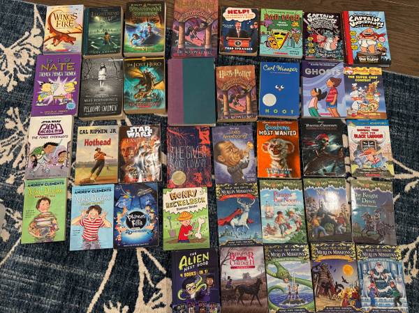 Huge collection of chapter books 1