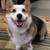 Historic pet-friendly building on a secluded Hollywood hill top 1 thumbnail