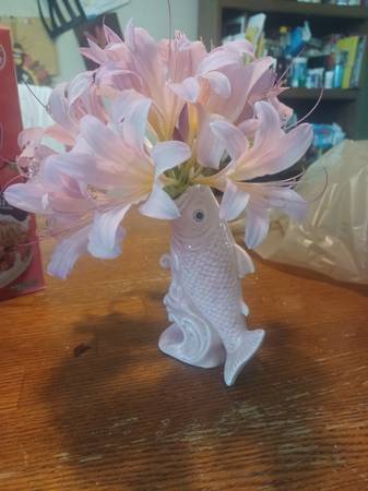 HARD TO FIND ITEMS FOR SALE! 1