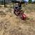 Stump grinding 1 thumbnail