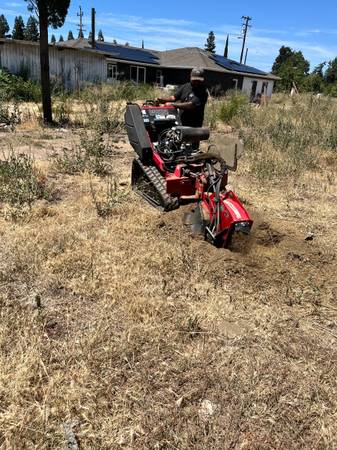Stump grinding 1